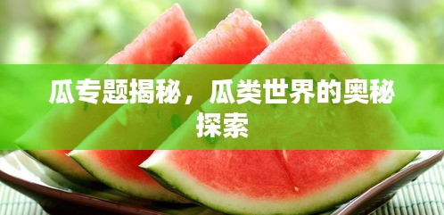 瓜专题揭秘，瓜类世界的奥秘探索