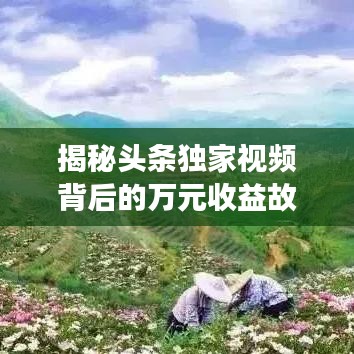 揭秘头条独家视频背后的万元收益故事