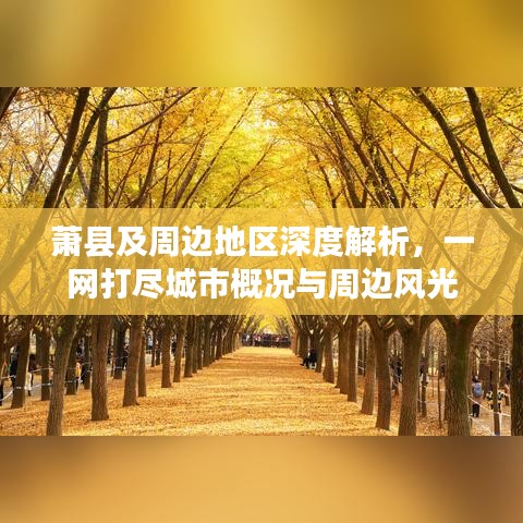 萧县及周边地区深度解析，一网打尽城市概况与周边风光