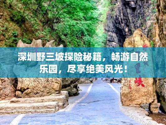 深圳野三坡探险秘籍，畅游自然乐园，尽享绝美风光！