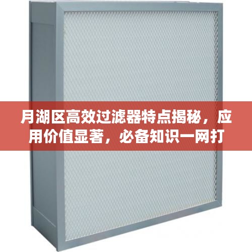 月湖区高效过滤器特点揭秘，应用价值显著，必备知识一网打尽！