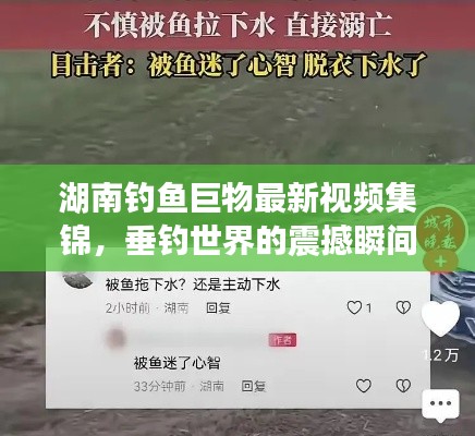 湖南钓鱼巨物最新视频集锦，垂钓世界的震撼瞬间全记录