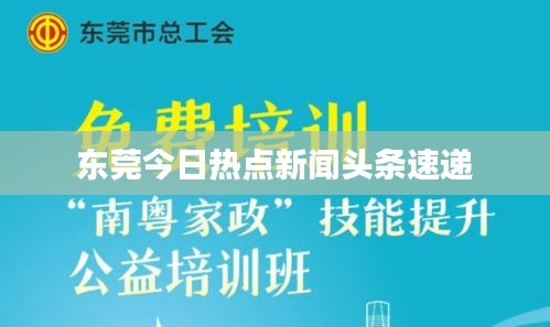 东莞今日热点新闻头条速递