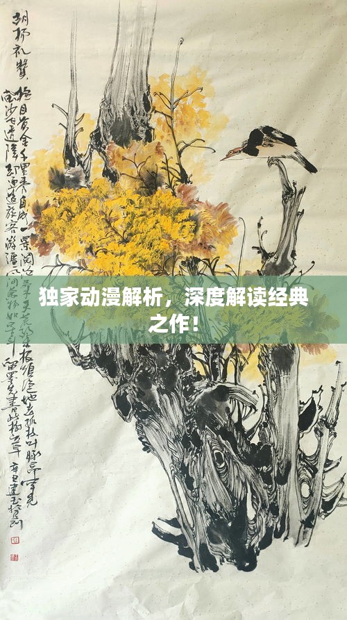 独家动漫解析，深度解读经典之作！