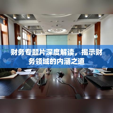 财务专题片深度解读，揭示财务领域的内涵之道