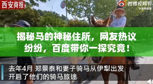 揭秘马的神秘住所，网友热议纷纷，百度带你一探究竟！