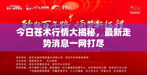 今日苍术行情大揭秘，最新走势消息一网打尽