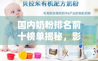 国内奶粉排名前十榜单揭秘，影响力与品质双优之选！