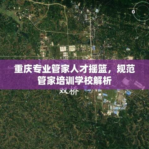 重庆专业管家人才摇篮，规范管家培训学校解析