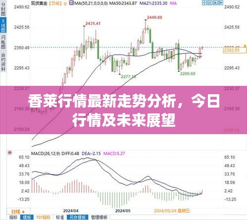 香莱行情最新走势分析，今日行情及未来展望