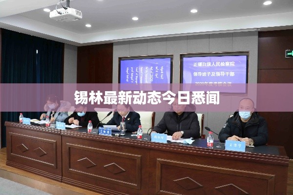 锡林最新动态今日悉闻