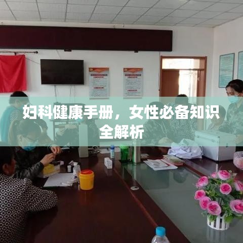 妇科健康手册，女性必备知识全解析