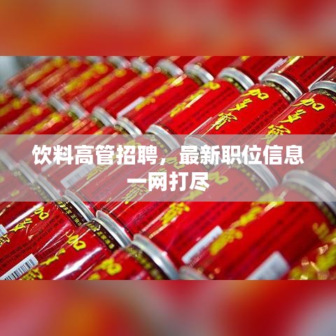饮料高管招聘，最新职位信息一网打尽
