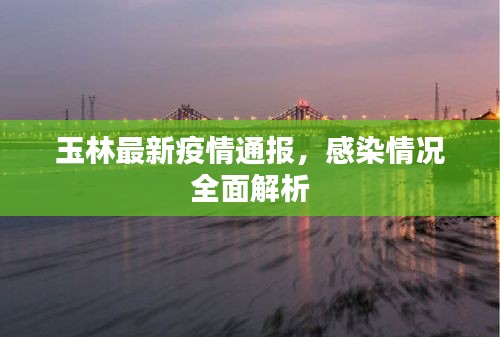 玉林最新疫情通报，感染情况全面解析
