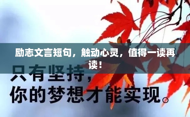 励志文言短句，触动心灵，值得一读再读！