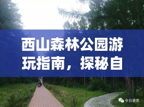 西山森林公园游玩指南，探秘自然美景，尽享森林乐趣！