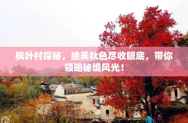 枫叶村探秘，绝美秋色尽收眼底，带你领略秘境风光！