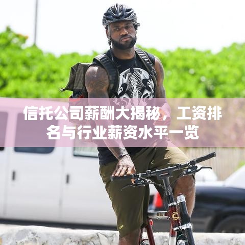 信托公司薪酬大揭秘，工资排名与行业薪资水平一览