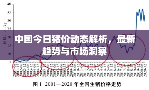 中国今日猪价动态解析，最新趋势与市场洞察
