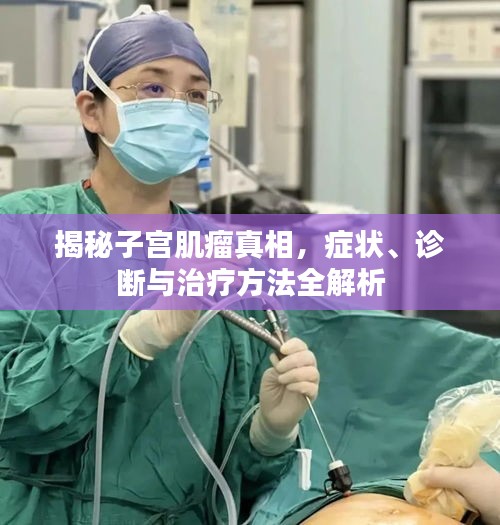 揭秘子宫肌瘤真相，症状、诊断与治疗方法全解析