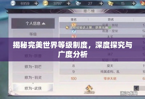 揭秘完美世界等级制度，深度探究与广度分析