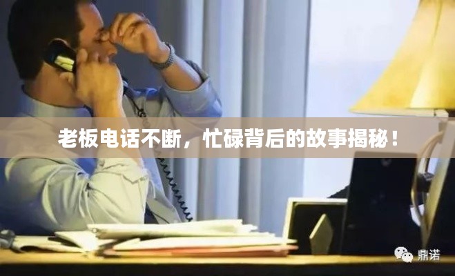 老板电话不断，忙碌背后的故事揭秘！