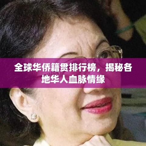 全球华侨籍贯排行榜，揭秘各地华人血脉情缘