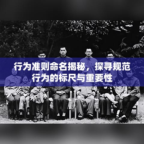 行为准则命名揭秘，探寻规范行为的标尺与重要性