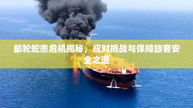 邮轮蛇患危机揭秘，应对挑战与保障旅客安全之道