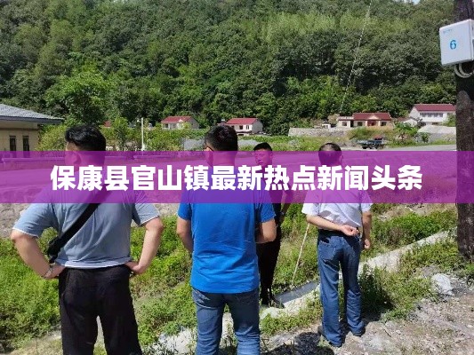 惊弓之鸟