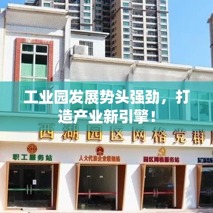 工业园发展势头强劲，打造产业新引擎！