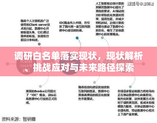 调研白名单落实现状，现状解析、挑战应对与未来路径探索