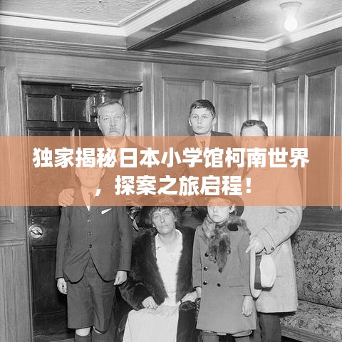 鸟穷则啄