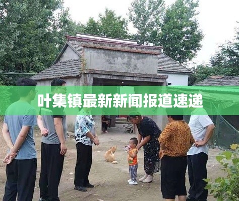 叶集镇最新新闻报道速递