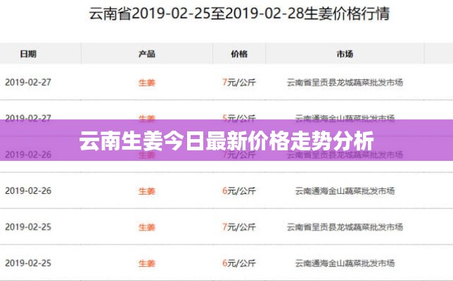 云南生姜今日最新价格走势分析