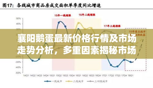 襄阳鹅蛋最新价格行情及市场走势分析，多重因素揭秘市场走势