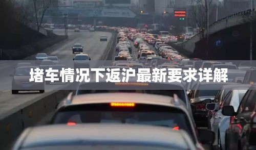 堵车情况下返沪最新要求详解