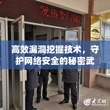 高效漏洞挖掘技术，守护网络安全的秘密武器