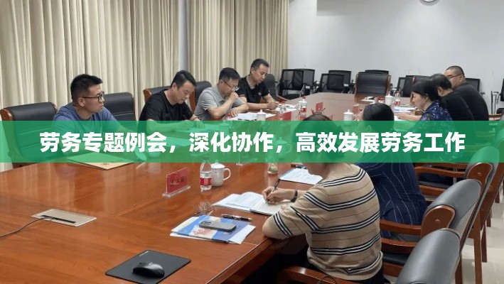 劳务专题例会，深化协作，高效发展劳务工作