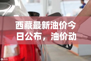 西藏最新油价今日公布，油价动态一览