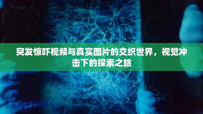 突发惊吓视频与真实图片的交织世界，视觉冲击下的探索之旅