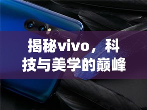 笨鸟先飞