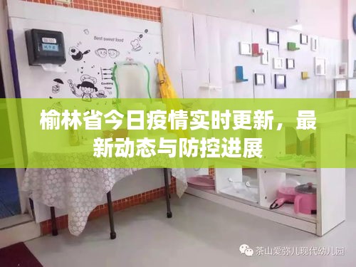 榆林省今日疫情实时更新，最新动态与防控进展