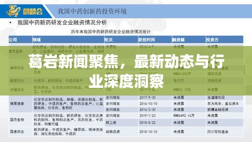 葛岩新闻聚焦，最新动态与行业深度洞察