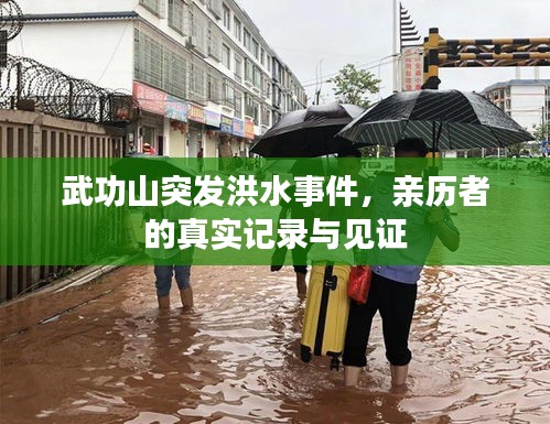 还淳返朴
