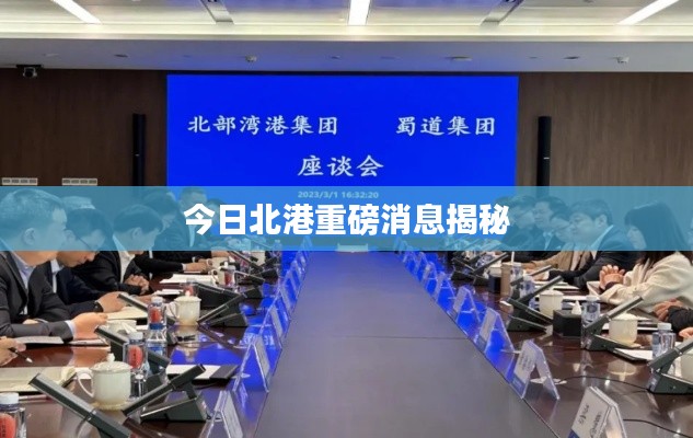 今日北港重磅消息揭秘