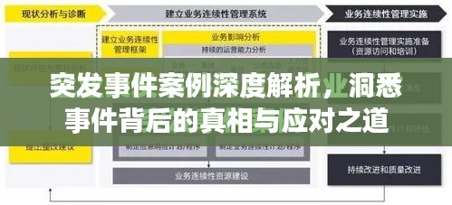 突发事件案例深度解析，洞悉事件背后的真相与应对之道