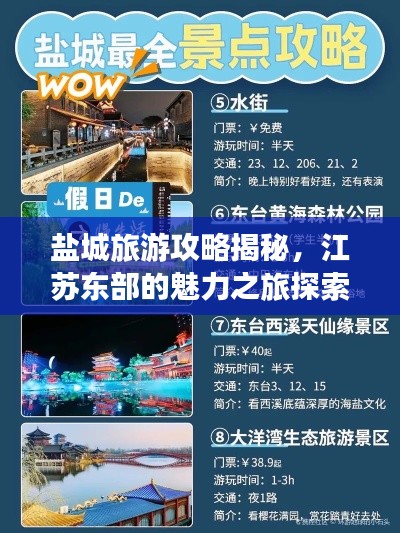 盐城旅游攻略揭秘，江苏东部的魅力之旅探索同伴游