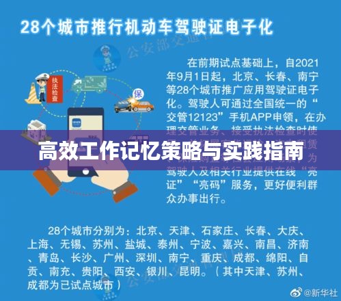 高效工作记忆策略与实践指南