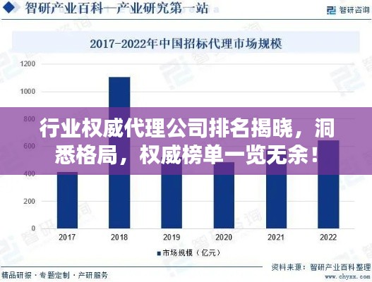 行业权威代理公司排名揭晓，洞悉格局，权威榜单一览无余！